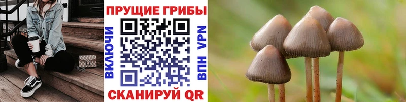 Псилоцибиновые грибы ЛСД площадка клад Фатеж магазин
